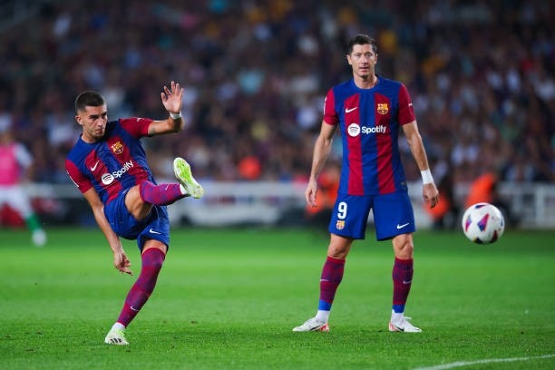 关于日本轻取阿根廷,费兰·托雷斯惊艳世界的信息 关于日本轻取阿根廷,费兰·托雷斯惊艳世界的信息