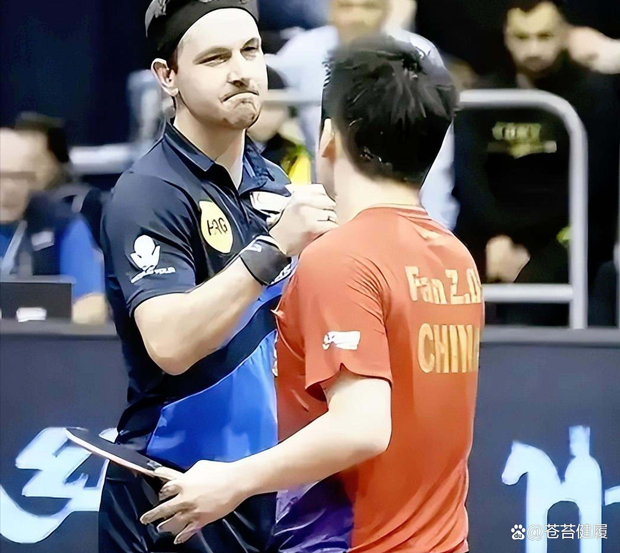 包含日本乒乓球队力克比利时乒乓球队，波尔统治全场的词条