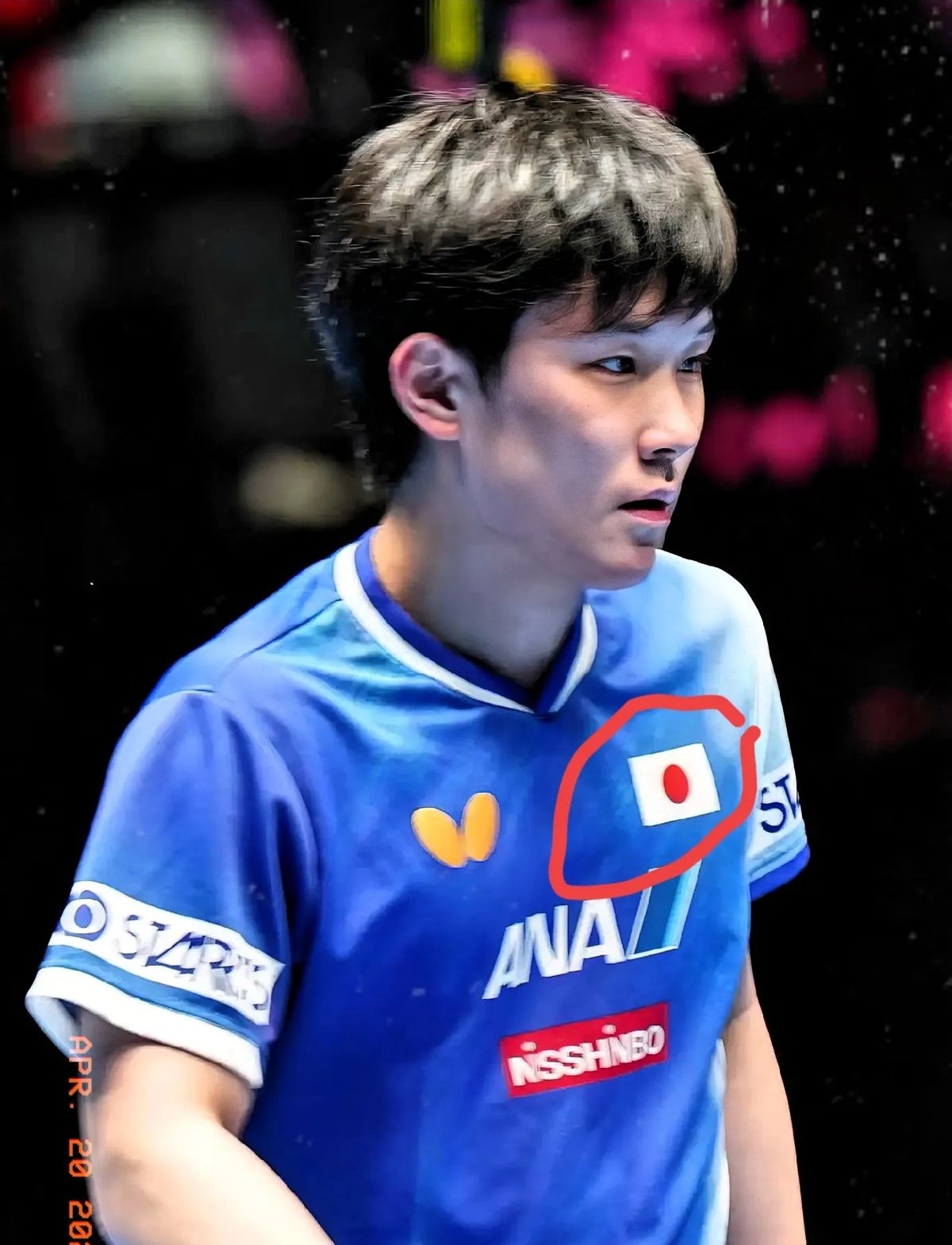 包含日本队绝杀德国队,张本智和刷新纪录的词条 包含日本队绝杀德国队,张本智和刷新纪录的词条